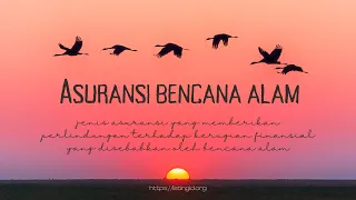 Asuransi bencana alam